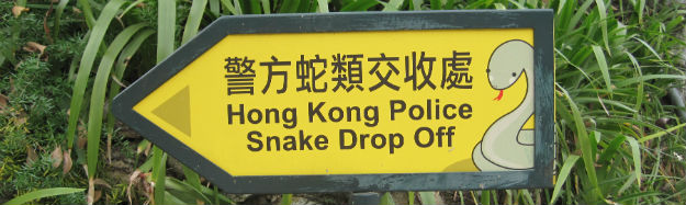 hong kong police