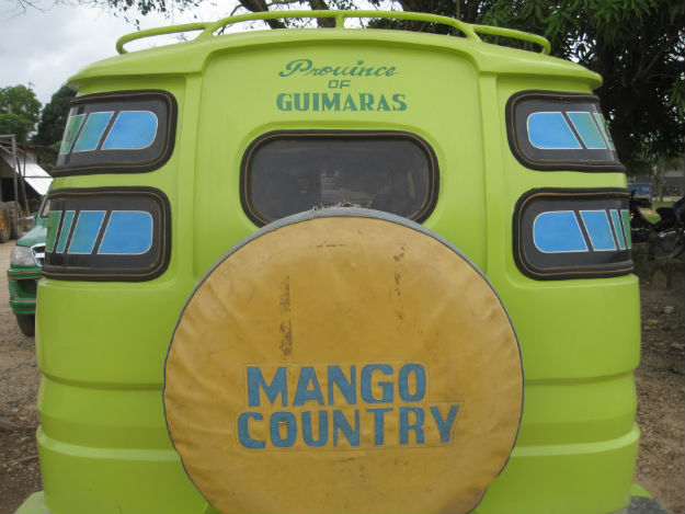 mango country
