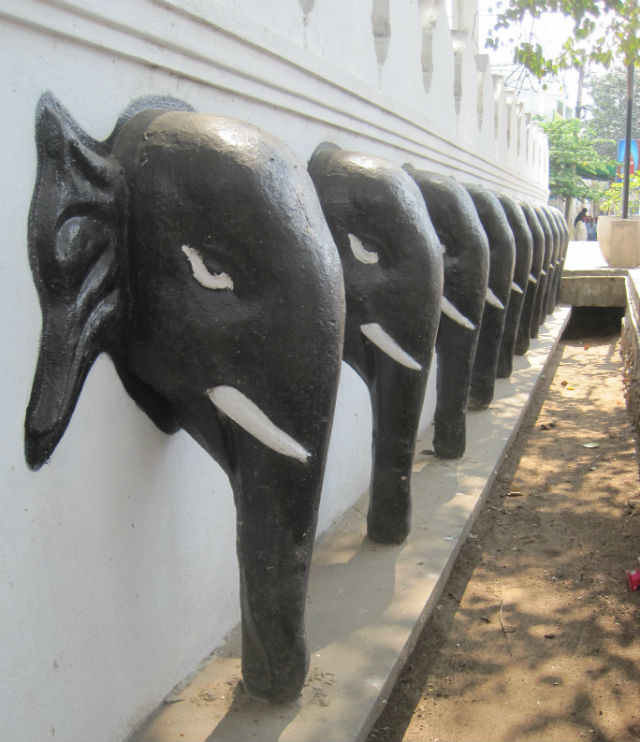elephant row